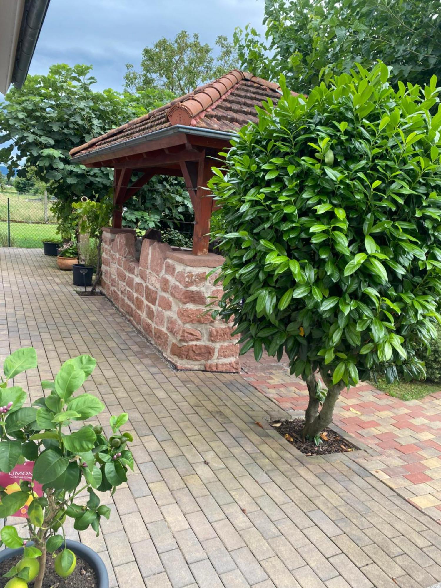 Neuried  Ferienwohnung An Der Unditz 2 מראה חיצוני תמונה